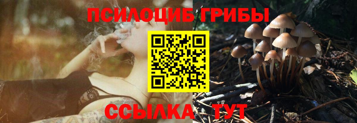 Зерноград  Галлюциногенные грибы Psilocybe  Вход с VPN  Псилоцибиновые грибы Cubensis 